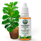 Liquid Plant Rooting Hormone Propagation Drops Root Growth Promoter Stimulator for Indoor Houseplants Water Soil Cuttings 40ml