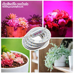 LED Ring Grow Lights Indoor Plants Full Spectrum Height Adjustable Plant Light for Indoor Plants 5V USB Growing Lamp