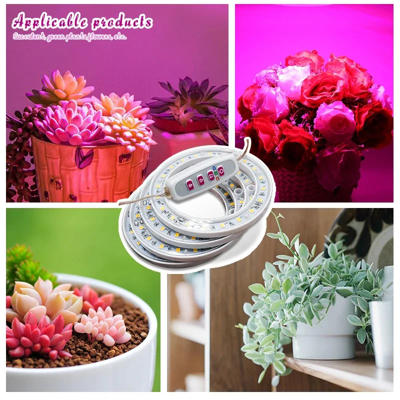 LED Ring Grow Lights Indoor Plants Full Spectrum Height Adjustable Plant Light for Indoor Plants 5V USB Growing Lamp
