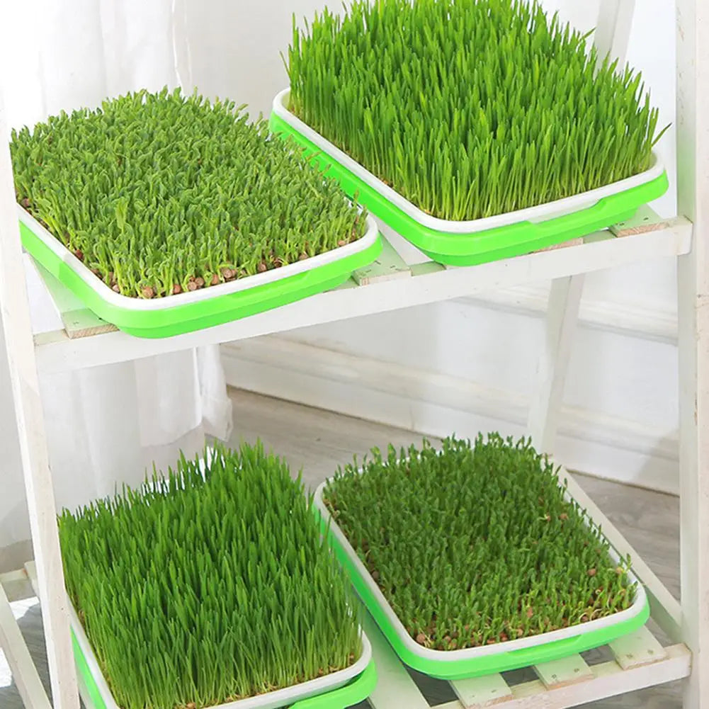 Hydroponic Microgreens Sprouter Tray Seed Sprouting Plates Wheatgrass Grower Nursery Trays for Home Garden Soilless System