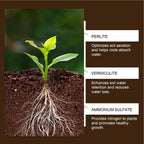 60G Organic Soil Activators And Plant Fertilizers Indoor Plant Fertilizers For Healthy Flowers And Soil Plants