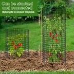 15Pcs Plants Protector Cages 35x35cm Mesh Plants Cage Covers with Ties and Pegs Rustproof Plants Cloche Garden Accessories
