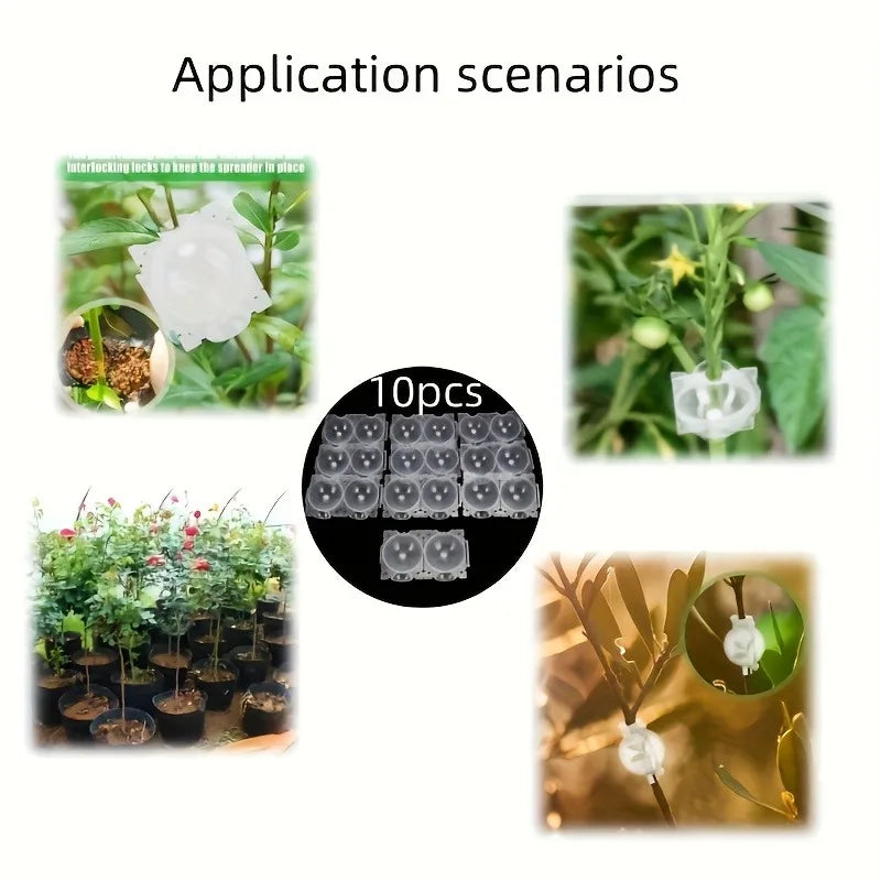 10pcs Plant Propagation Box Set High-Pressure Grafting, Cutting, and Rooting Kit for Tree Branches with Pressure Balls