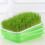Hydroponic Microgreens Sprouter Tray Seed Sprouting Plates Wheatgrass Grower Nursery Trays for Home Garden Soilless System