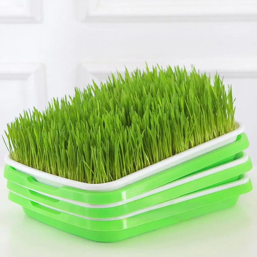 Hydroponic Microgreens Sprouter Tray Seed Sprouting Plates Wheatgrass Grower Nursery Trays for Home Garden Soilless System