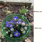 Plants Slug Protection Rings Vegetables Cover Plant Snail Collar Guard Green Planter Flower Pot Pest Control Trapper Garden Tool