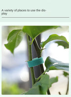 10m Reusable Nylon Plant Ties Green Garden Plant Bandage Cable Ties Self Adhesive Plant Fastener Tape for Plants Garden Home