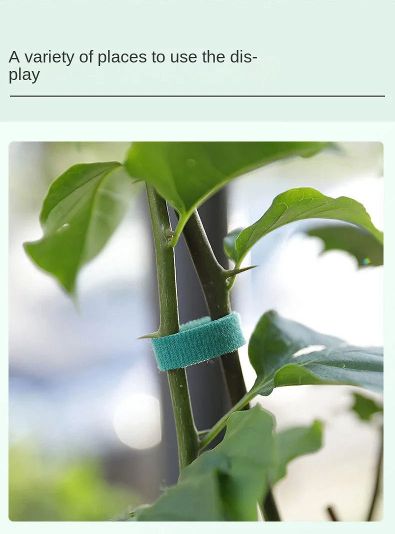 10m Reusable Nylon Plant Ties Green Garden Plant Bandage Cable Ties Self Adhesive Plant Fastener Tape for Plants Garden Home
