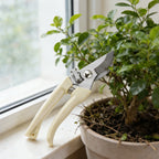 Pruning Shears Gardening Tools Professional Pruner Garden Manual Scissors Supplies Bonsai Tree Trimming Accessories Hand Tool