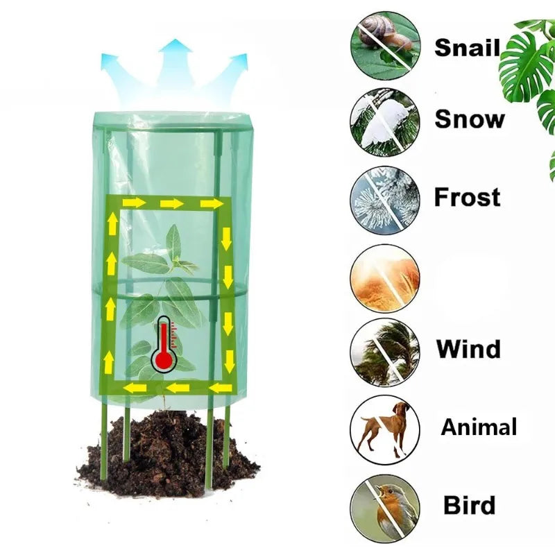 FLYY-Plastic Plant Seedling Cover- For Garden For Vegetable Fruit Flower Yard Patio Greenhouse Outdoor Use-For Gardening Protect