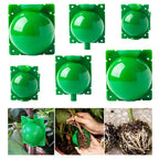 Plant Rooting Ball Gardening Supplies High Pressure Propagation Root Growing Box Cutting Grafting Ball Breeding Equipment TMZ