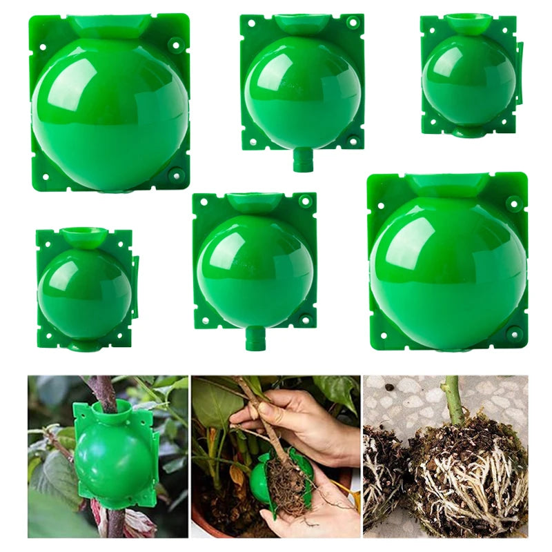 Plant Rooting Ball Gardening Supplies High Pressure Propagation Root Growing Box Cutting Grafting Ball Breeding Equipment TMZ