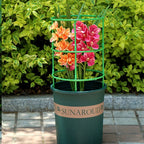 Plastic Plant Support Stakes for Flowers and Greenhouses