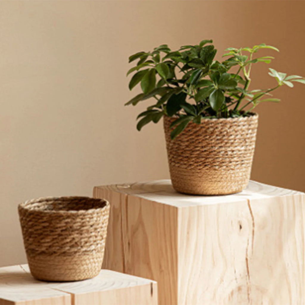 Natural Woven Flower Basket Straw Wicker Planter Storage Baskets Large Capacity Pots for Family Friend Neighbor Gift