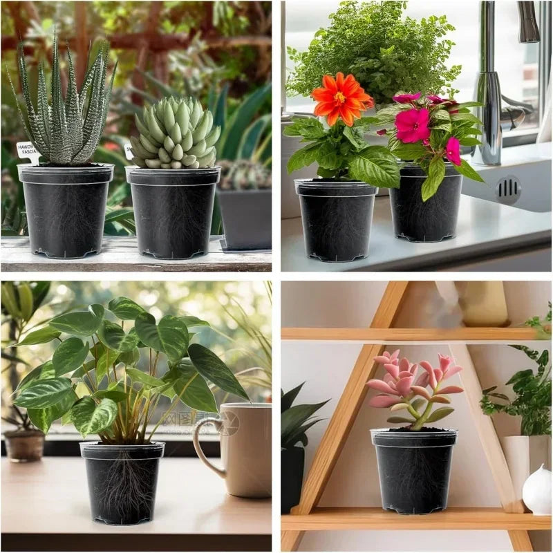 5pcs Home Garden Round Planter Pot Orchid Nursery Container Planter Container Transparent Orchid Container Round Starting Pot