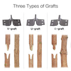 Professional Red Toolbox Grafting Pruner Garden Tool Farming Pruning Shears Scissor Fruit Tree Vaccination Secateurs With Tape