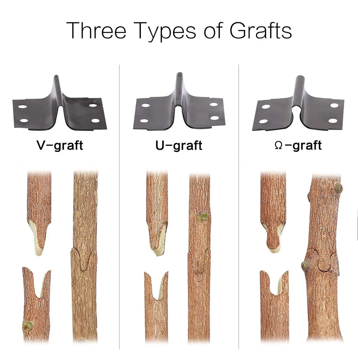 Professional Red Toolbox Grafting Pruner Garden Tool Farming Pruning Shears Scissor Fruit Tree Vaccination Secateurs With Tape