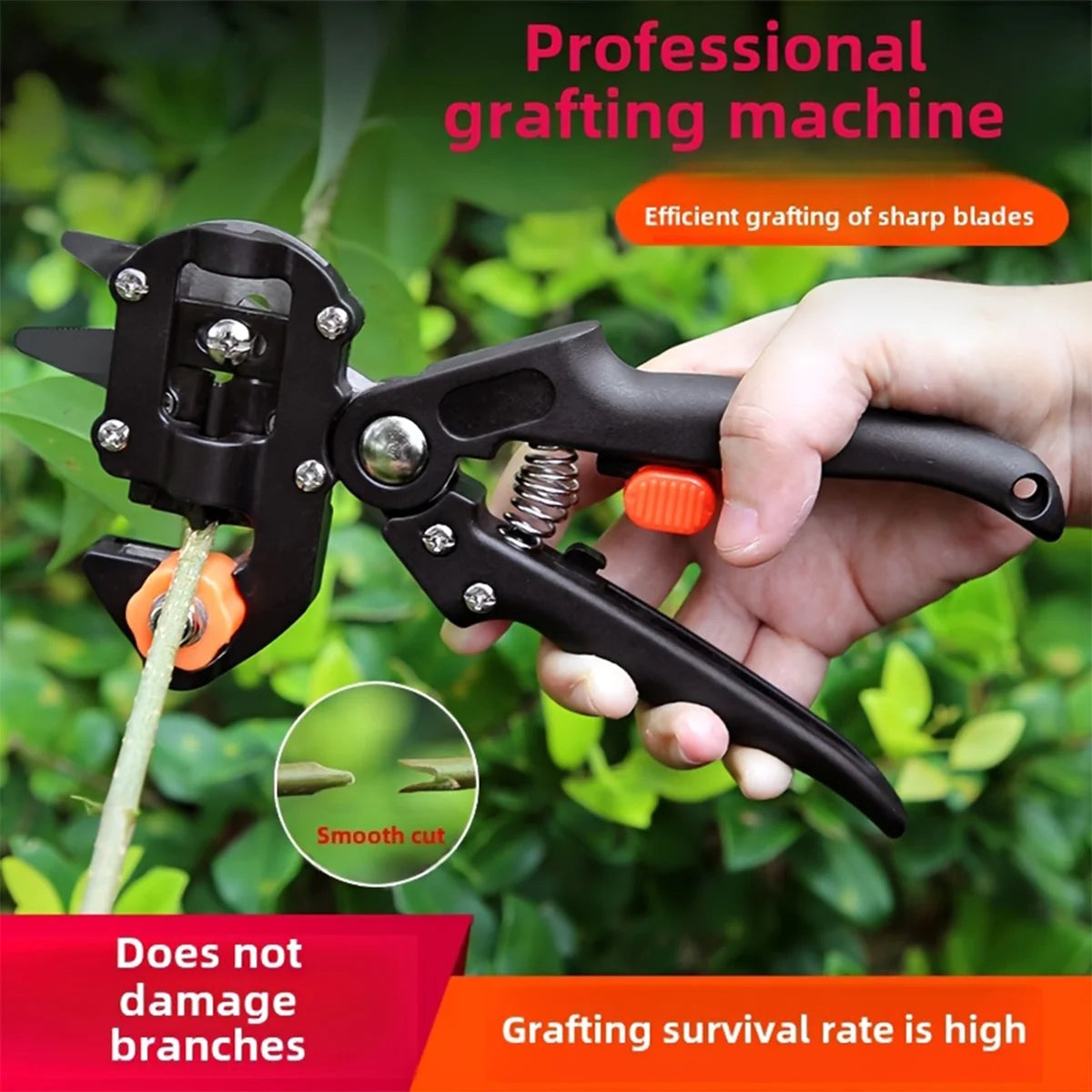Professional Grafting and Pruning Tools, Fruit Tree Grafting Shears, 2-in-1 Branch Cutting and Grafting Shears.