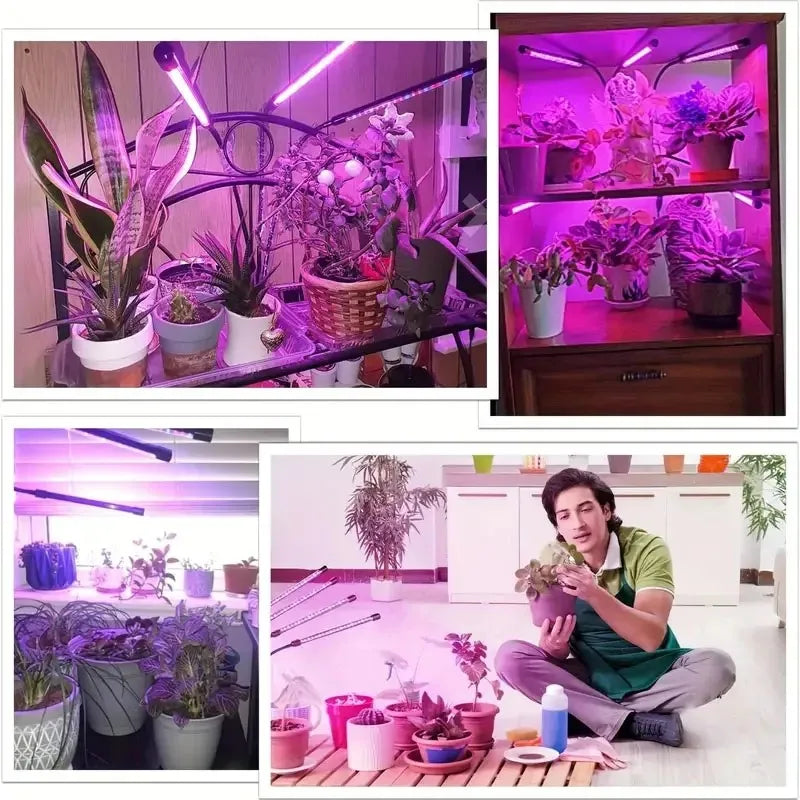 USB LED Plant Grow Light Indoor Garden 10 Dimmable Levels Grow Light Full Spectrum Timer Setting Hydroponic Greenhouse 3H/9H/12H