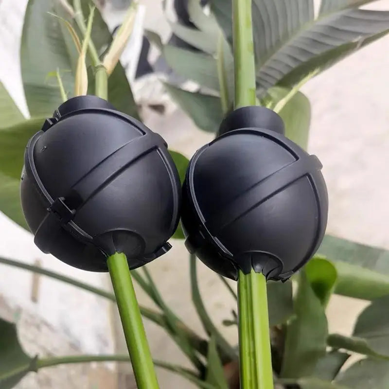 Propagation Ball Air Layering Pods Grafting Case For Fruit Tree Potting Substrate Care Indoor Gardening Aquaponics Hydroponics