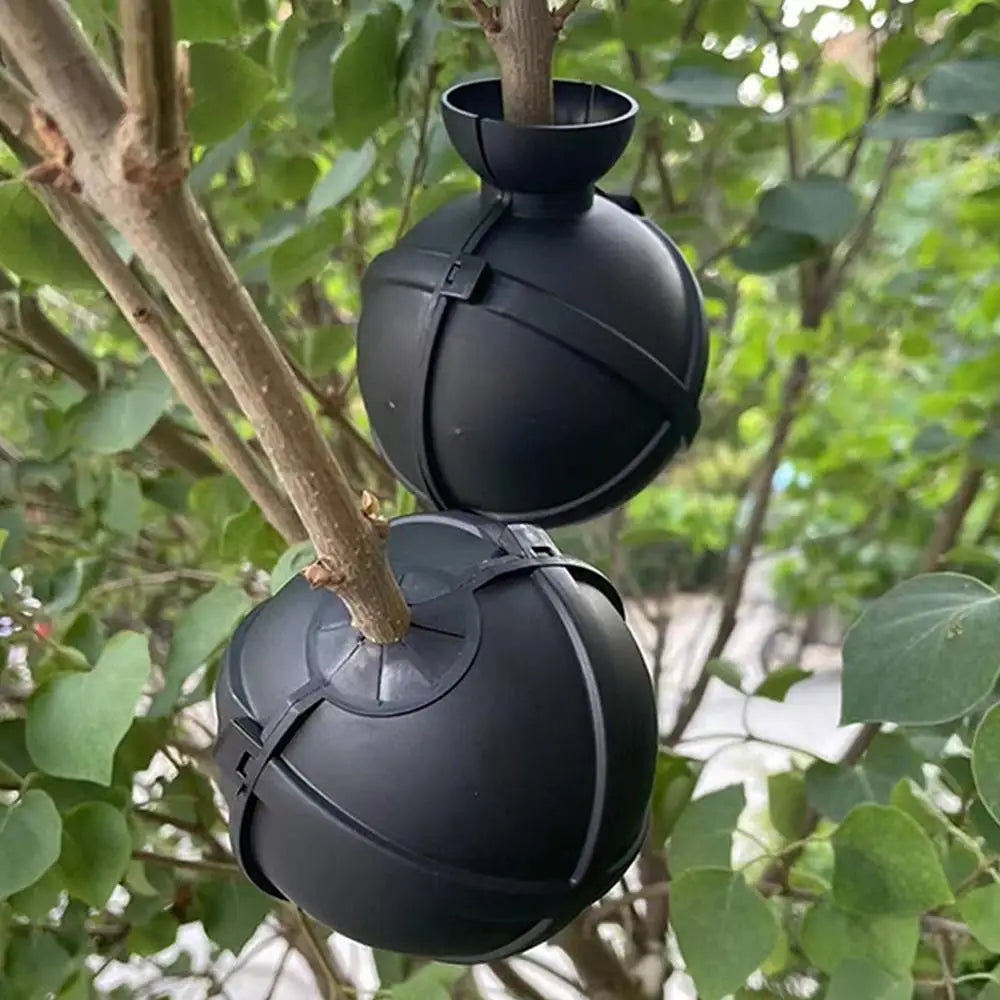 Propagation Ball Air Layering Pods Grafting Case For Fruit Tree Potting Substrate Care Indoor Gardening Aquaponics Hydroponics