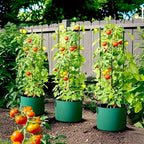 3/5/7Gallon Green Felt Plant Strong Grow Bags Gardening Aeration Planting Pot Container Maintain Humidity