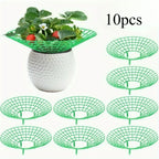 5/10pcs Strawberry Plant Supports with Three Sturdy Legs Provide Protection for Strawberries Against Mold, Rot, and Dirt