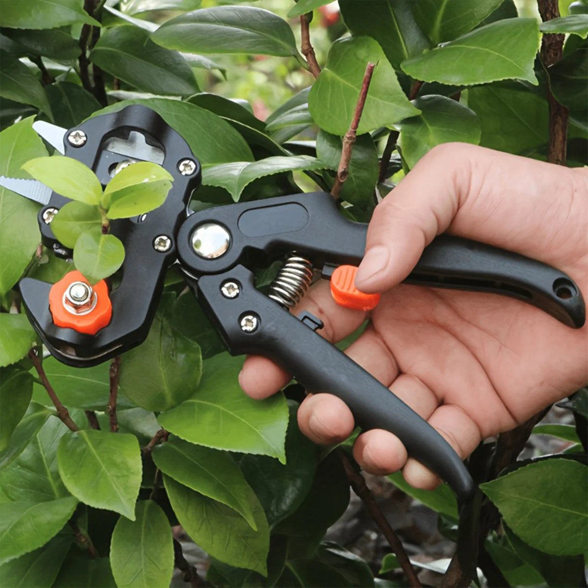 Professional Grafting and Pruning Tools, Fruit Tree Grafting Shears, 2-in-1 Branch Cutting and Grafting Shears.