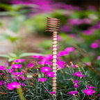 Electroculture Plant Stakes, Copper Garden Antennas