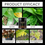 Soil Activator For Plants Potting Soil Boost Nutrition Improve Soil Easy Use For Garden Potted Plants Flowers Vegetables