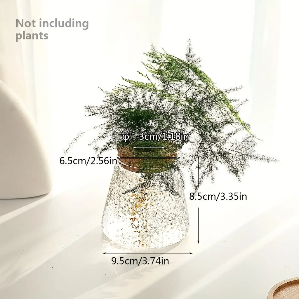 Propagation Station with Glass Vases - Tabletop Plant Rack for Hydroponic Cuttings, Home Office Decor