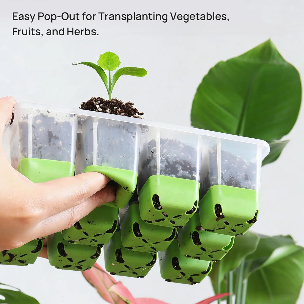 Seedling Starter Tray Indoor Garden Greenhouse Growth Potting with Cover Adjustable Humidity Germination Box Gardening Supplies