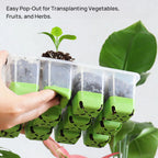 Seedling Starter Tray Indoor Garden Greenhouse Growth Potting with Cover Adjustable Humidity Germination Box Gardening Supplies