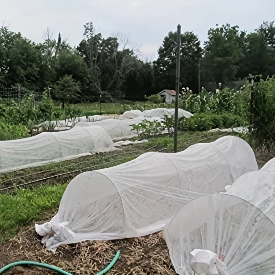 Plant Cold Protection Cover Thickened Floating Surface Covering Cloth160cm×1000cmNon-woven Fabric Vegetable and Fruit Tree Frost
