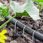 U-Type Garden Staples, Zinc-Coated Steel Landscape Pins