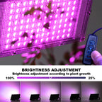 Led Grow Light 50W 100W 150W 220V Outdoor Full Spectrum LED Plant Growth Lamp Led Spotlight Projector Streetlight Led Floodlight