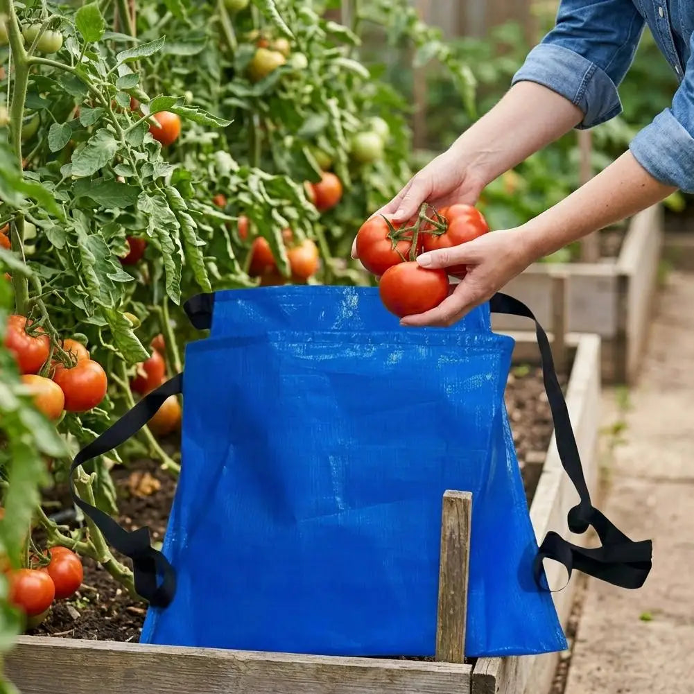 Garden Fruit Picking Bag and Mushroom Foraging Pouch with Waist Belt, Harvest Apron for Outdoor Orchard, Vegetable Gathering