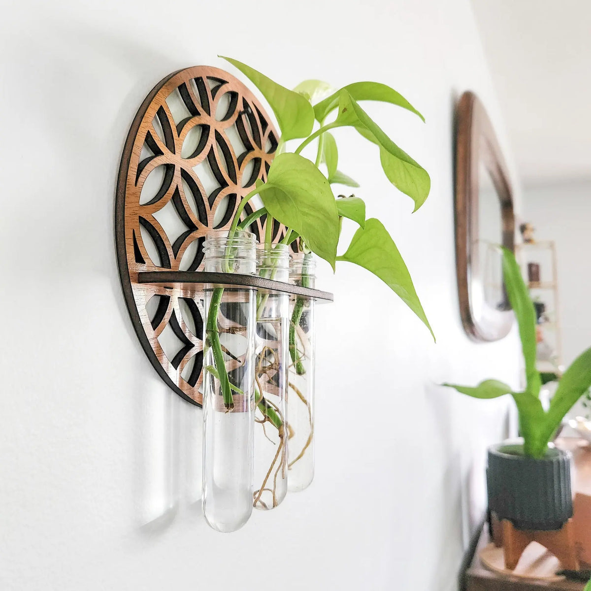 Plant Propagation Station Wall Hanging Wooden Moon Phase Plant Terrarium for Hydroponics Home Office Decor Air Plant Holder Gift