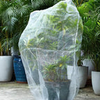 Fruit Tree Insect Net Cover Designed To Protect Plants From Birds in Garden For Fruits Vegetables Crop Protection