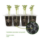6/12Grids Seed Starter Tray with Ventilation Hole Seeds Growing Cultivation Planting Box Mini Greenhouse Plant Starter Kit