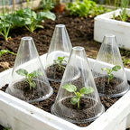 Plant Protection Collar, 20pcs - Transparent PET Material, Ideal for Vegetable Seedlings and Flower Growth, Four-season Care, Pr