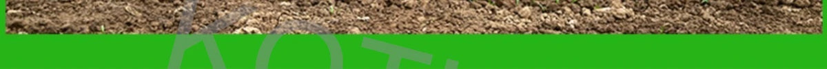 Manual Fertilizer All-in-one Machine Applicator Handheld Seeder Seed Drill Planting Corn Peanut Soybean Planter Garden Agricultu