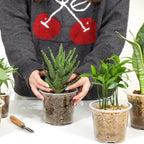 5pcs Home Garden Round Planter Pot Orchid Nursery Container Planter Container Transparent Orchid Container Round Starting Pot