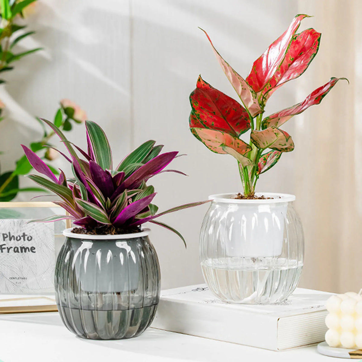Clear Self Watering Planters Pots Modern Transparent Plants Care Pots for Garden Enthusiast Lover Gift