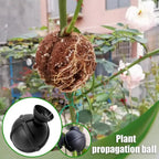Propagation Ball Air Layering Pods Grafting Case For Fruit Tree Potting Substrate Care Indoor Gardening Aquaponics Hydroponics