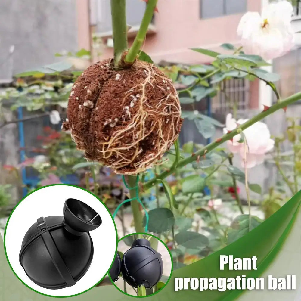 Propagation Ball Air Layering Pods Grafting Case For Fruit Tree Potting Substrate Care Indoor Gardening Aquaponics Hydroponics