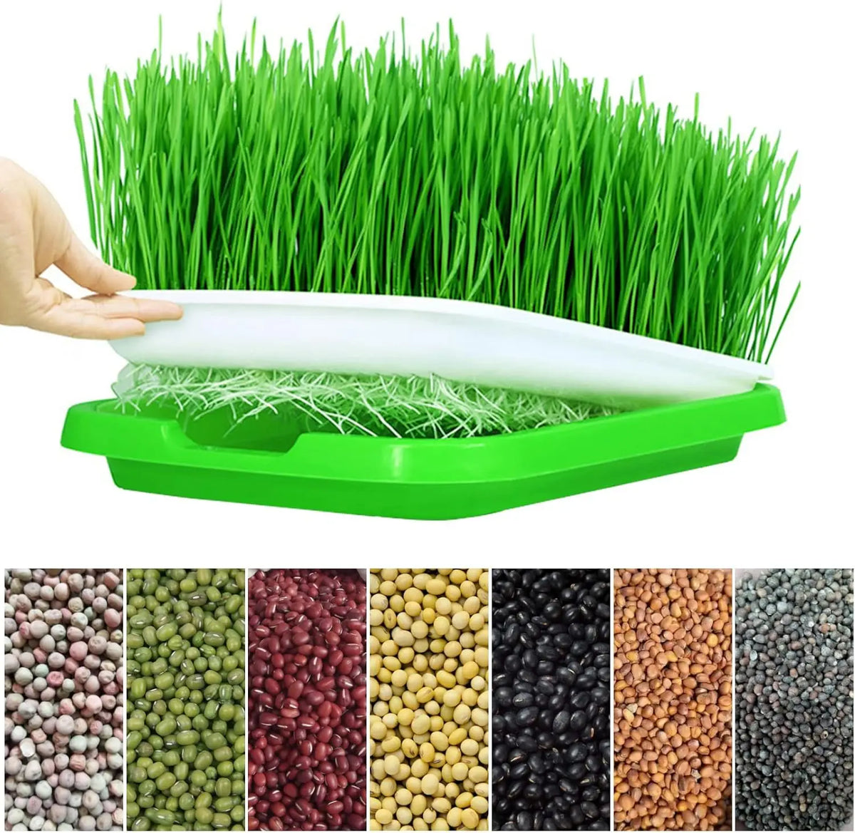 Microgreens Sprouter Tray Hydroponic/Sprouting Tray For Sprout Horticultural Hydroponic Systems Tray Garden Nursery Potted