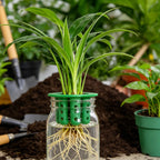 Hydroponic Vegetables Seed Planters Plant Garlic & Green Onion/Outdoor Nursery Pot  Gardening Flowers Plant Tray Growing Tool