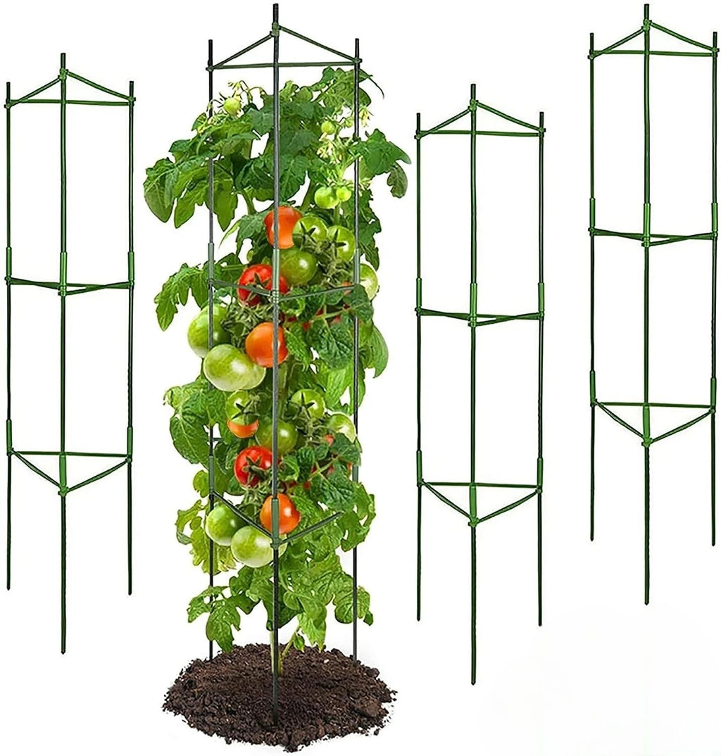 Metal Tomato Cage, Up to 129.5 cm (51 in)