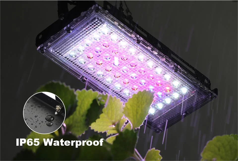 LED Grow Light Phytolamp For Plants USB 5V Sunlike Full Specturm Plant Lights Adjustable Brightness Floodlight Hydroponic IP65
